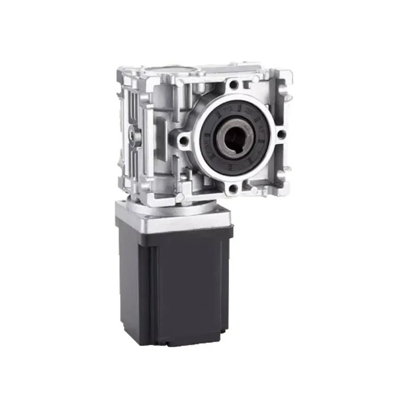 80mm BLDC Wormwielmotor 12V 24 - Bldc Planetary Gear Motor 48V High Torque recensie en prijs